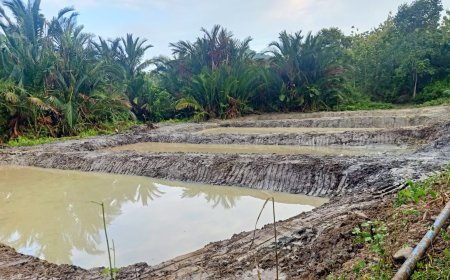 Dorong Ketahanan Pangan, Pemdes Silui Tuntaskan Pembuatan Empang Untuk Budidaya Ikan Air Tawar
