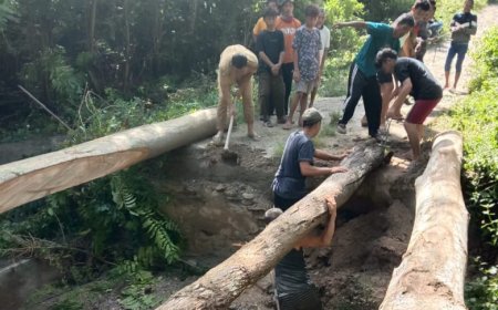 Akses Jalan Terputus, Pemdes Wesinggote Kolaka Timur Bersama Warga Gotongroyong Bangun Jembatan Kayu