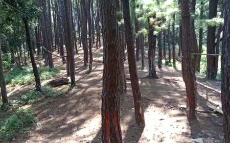 Dapat Kucuran Dana Dari Kemendes, Obyek Wisata Sorombipi Di Koltim Bakal Di Buka Kembali