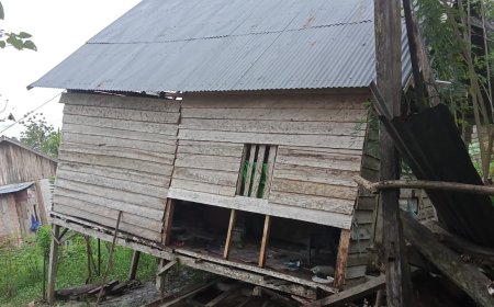 Miris! Rumah Warga Miskin Di Desa Tirawuta Nyaris Ambruk, Kades Tirawuta Harap Pemerintah Pusat Dan Daerah Tidak Menutup Mata