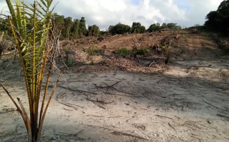 Terkait Dugaan Penyerobotan Lahan Milik Warga Uepai, PT.Sumber Alam Karya Sejahtera (SAKS) Siap Bertanggungjawab