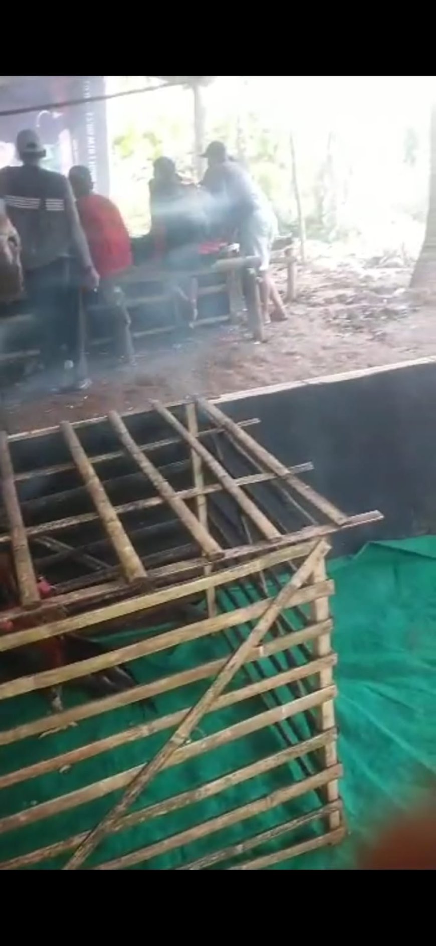 Perjudian Sabung Ayam Dan Jenis Lain di Wilayah Polsek Licin Kabupaten Banyuwan