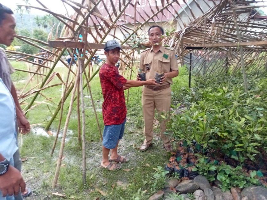 Ciptakan Ketahanan Pangan Ditengah Pandemik Covid 19, Pemdes Undolo Salurkan Sejumlah Bantuan Kepada Masyarakat