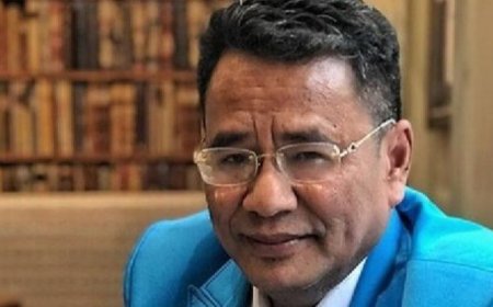 Ucapkan Ulang Tahun ke Jessica Wongso, Hotman Paris: Hakim Harus Bebasin!