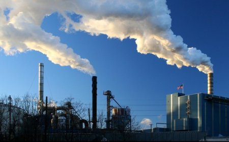 Apa Itu Pasar Oligopoli? Persaingan Ketat di Antara Sedikit Pemain Besar