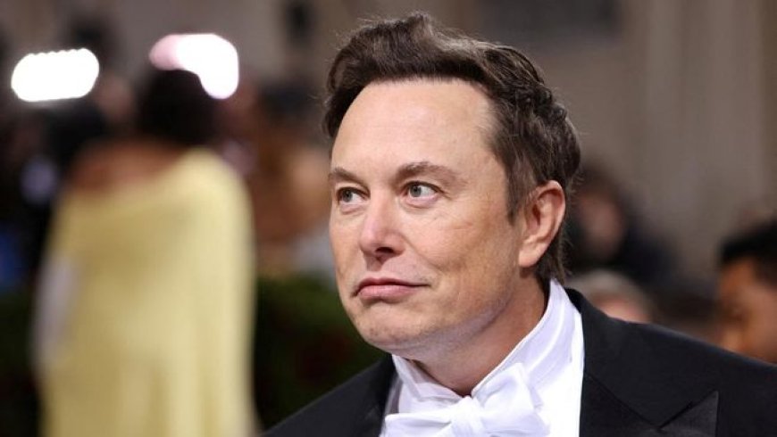 Elon Musk Tantang Kontroversi: Starlink Bawa Koneksi Internet ke Gaza Meskipun Protes Israel