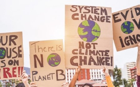 Tren Global 2024 Versi Forbes: Perubahan Iklim, Pemilu, dan Revolusi Pendidikan