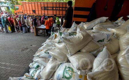 Jokowi Tetapkan Program Bansos Beras untuk 22 Juta Rakyat Miskin Hingga Juni 2024