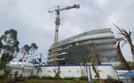 Proyek Istana Presiden IKN Capai 50 Persen: Lingkungan Ramah, Dikelilingi 20 Juta Pohon