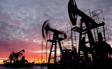 Dampak Potensial dan Skenario Jika Negara-negara Arab Melakukan Embargo Minyak ke Israel dan AS