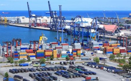 Indonesia Impor Barang dari Israel Rp263,12 M Sejak Awal Tahun