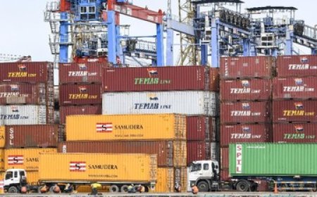 Indonesia Impor Barang dari Israel Rp263,12 Miliar pada 2023, Turun dari Tahun Sebelumnya