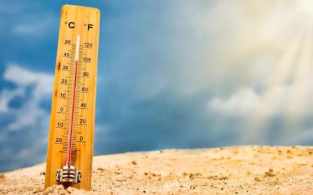Pemanasan Global Mencapai Puncak: Suhu Harian Global Sentuh 2 Derajat Celsius di Atas Level Pra-industri