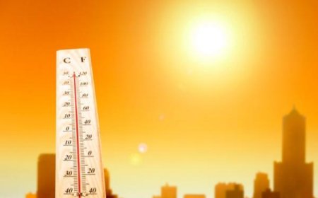 Rekor Pemanasan Global: Suhu Harian Sentuh 2 Derajat Celsius, Menandai Tahun Terpanas dalam Sejarah