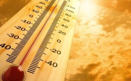 Rekor Pemanasan Global: Suhu Harian Sentuh 2 Derajat Celsius Di Atas Level Pra-industri