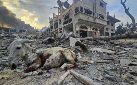 Israel Gempur Sekolah di Kamp Jabalia Gaza