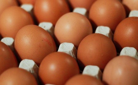 Pemerintah Lanjutkan Bantuan Pangan Penanganan Stunting hingga 2024 untuk 1,4 Juta Keluarga Rawan Stunting