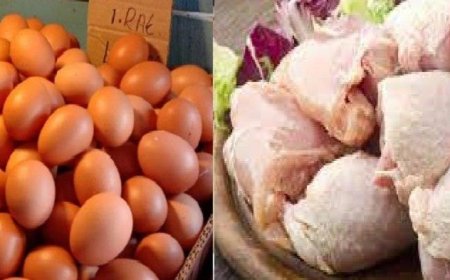 Pemerintah Indonesia Sambut Tahun 2024 dengan Melanjutkan Program Bantuan Pangan untuk Penanganan Stunting