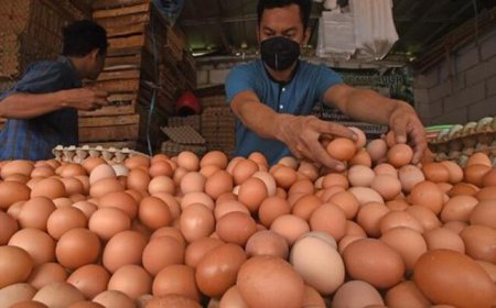 Pemerintah Lanjutkan Bantuan Pangan untuk 1,4 Juta Keluarga Rawan Stunting di 2024