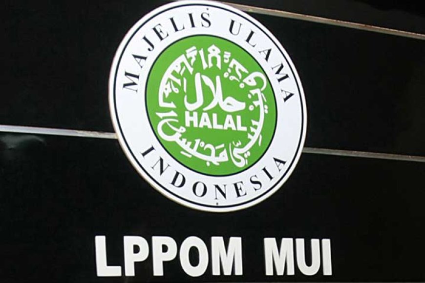 KSP Menolak Usulan MUI Cabut Sertifikat Halal Produk Pendukung Israel, Penjelasan dan Dukungan dari Wakil Komisi VIII DPR