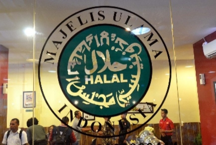 KSP Tolak Usulan MUI Cabut Sertifikat Halal Produk Pendukung Israel, Pertimbangkan Dasar Hukum