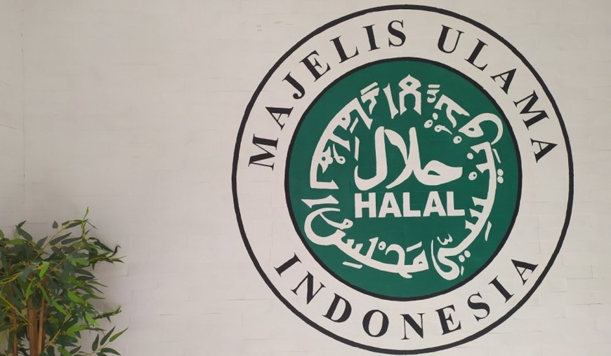 Kontroversi Pencabutan Sertifikat Halal oleh MUI Terhadap Produk Pendukung Israel