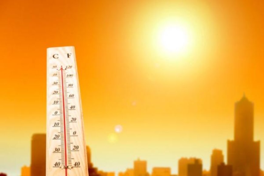 Rekor Pemanasan Global: Suhu Harian Sentuh 2 Derajat Celsius, Menandai Tahun Terpanas dalam Sejarah