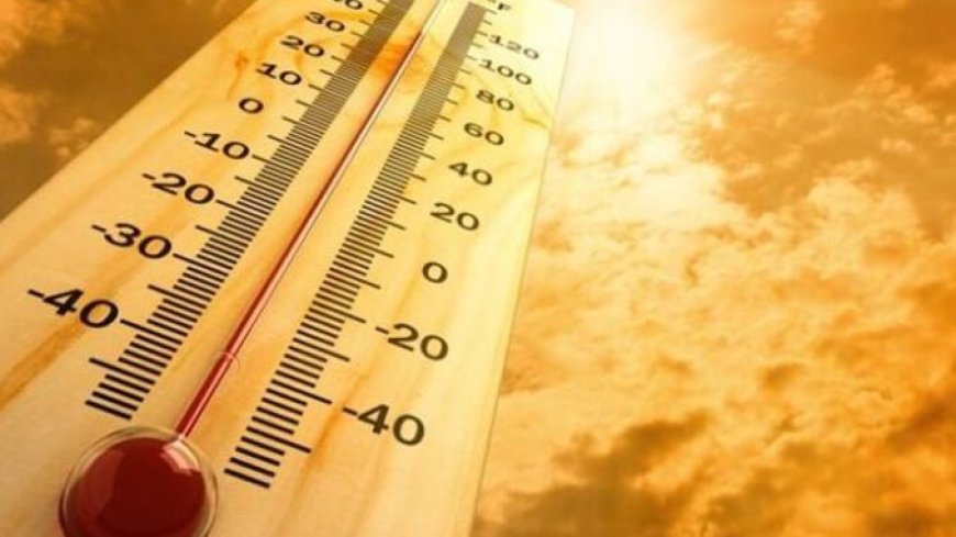 Rekor Pemanasan Global: Suhu Harian Sentuh 2 Derajat Celsius Di Atas Level Pra-industri