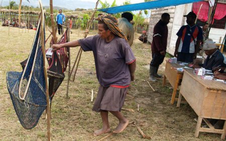 Sistem Noken: Kearifan Lokal dalam Pemilu Papua yang Memikat