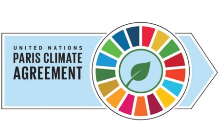 Perjanjian Paris dan Perjalanan Menuju Netral Karbon: Agenda Penting di Konferensi Iklim COP28