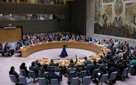 Mesir dan Mauritania Perlawanan Terhadap Veto AS di DK PBB Menggunakan Resolusi 377A: Isi dan Dampaknya