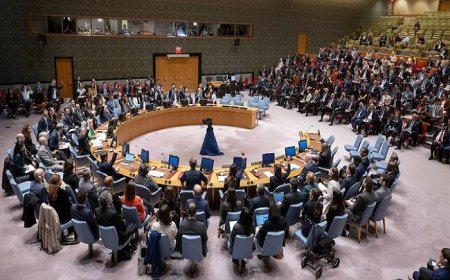 Mesir dan Mauritania Lawan Veto AS di DK PBB dengan Resolusi 377A: Bagaimana Isi dan Dampaknya?
