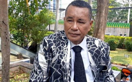 Hotman Paris Lawan 'Hotline Paris' Anies: Saingi Hotman 911, Layanan Hukum Gratis