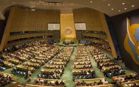 10 Negara Menolak Gencatan Senjata Israel-Hamas di Sidang PBB