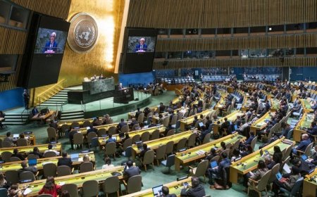 Dalam Sidang PBB, Hanya 10 Negara Menolak Gencatan Senjata Israel-Hamas, Termasuk Tetangga RI