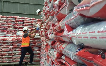 Perum Bulog Berikan Bantuan Sosial Beras untuk 22 Juta Keluarga, Dijamin Aman Hingga Juni 2024
