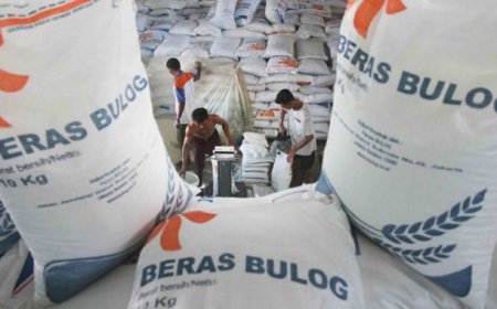 Bulog Perluas Jangkauan Bantuan Sosial, Siapkan Bansos Beras untuk 22 Juta Keluarga