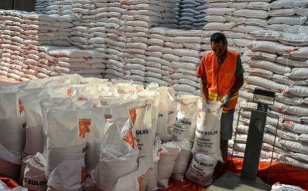 Bulog Siapkan Bansos Beras untuk 22 Juta Keluarga, Penyaluran Hingga Juni 2024