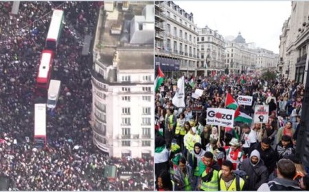 Larangan Demonstrasi Palestina di Negara Barat: Ketegangan antara Kebebasan Berpendapat dan Kestabilan Dalam Negeri