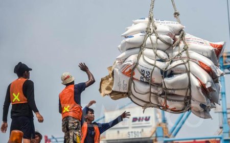 Peningkatan Ketahanan Pangan: Indonesia Impor 3 Juta Ton Beras dari India dan Thailand