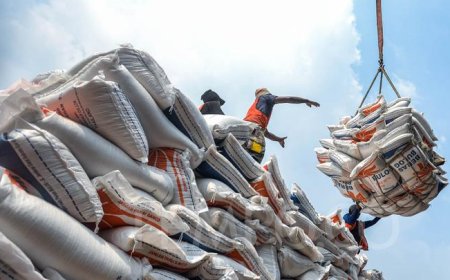 Mengamankan Ketahanan Pangan, Indonesia Akan Terima 3 Juta Ton Beras Impor pada 2024