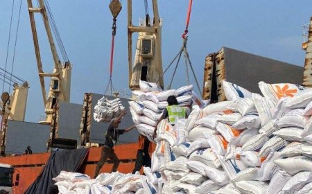 3 Juta Ton Beras Impor Bakal Banjiri RI Tahun Ini