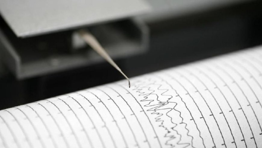 Gempa Besar Guncang Jepang Tengah: Peringatan Tsunami 5 Meter Menghantam Pantai Barat