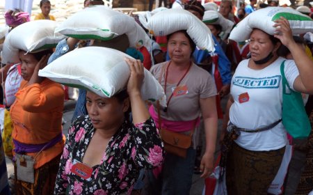 Penyaluran Bansos Beras 10 Kg Dihentikan Sementara 8-14 Februari, Menghormati Pemilu 2024