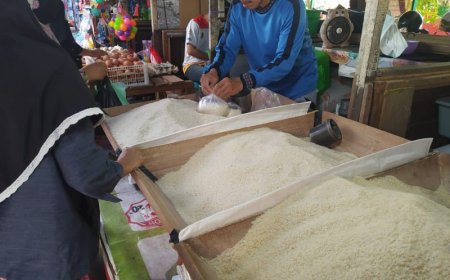 Lonjakan Harga Beras Pecahkan Rekor di Era Jokowi: Tembus Rp18 Ribu per Kg