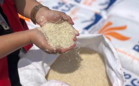 Lonjakan Harga Beras Pecahkan Rekor: Tembus Rp18 Ribu per Kg, Tertinggi dalam Sejarah Pemerintahan Jokowi
