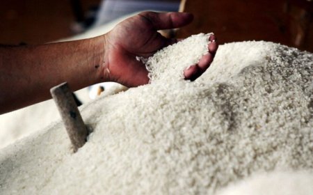 Rekor Baru! Harga Beras Pecahkan Batas Rp18 Ribu per Kg, Lonjakan Tertinggi dalam Era Jokowi