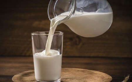 Mengungkap Tantangan Program Makan Gratis Prabowo: Pengusaha Susu Berbicara