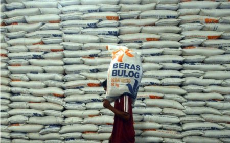 500 Ribu Ton Beras Impor Telah Masuk ke Indonesia