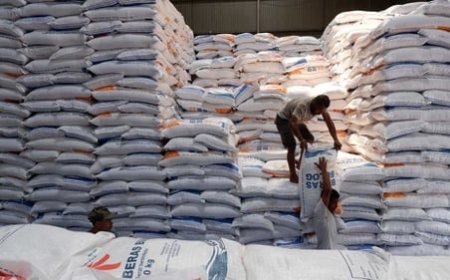 500 Ribu Ton Beras Impor Tiba di Indonesia, Bulog Fokus pada Stabilitas Pasokan dan Harga